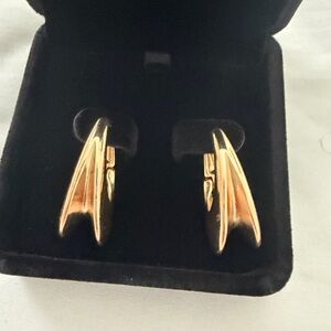Elegant Gold Hoop Earrings